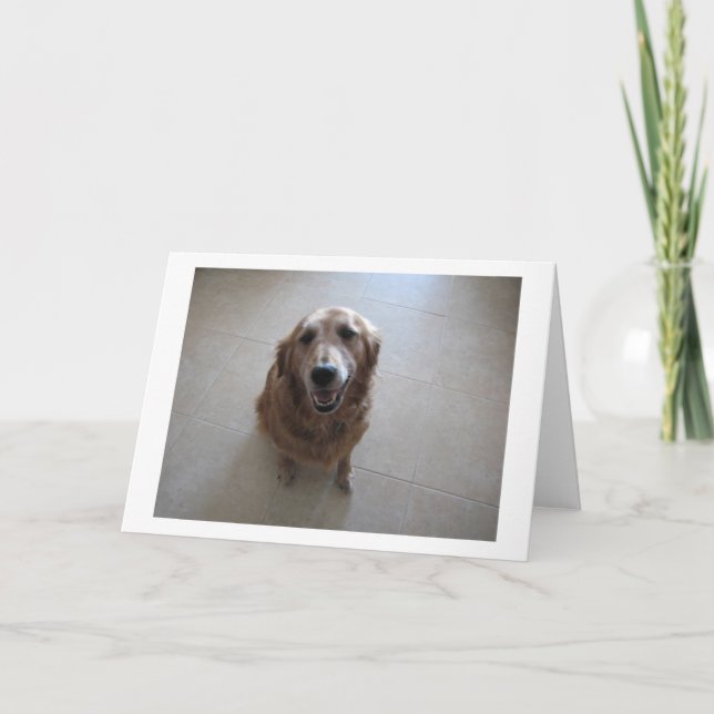 Pet Sympathy Card - "female" (Front)