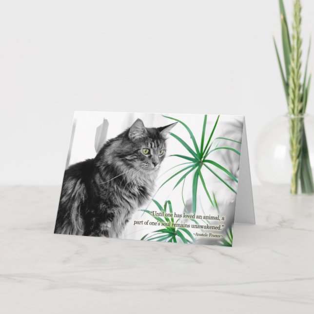 Pet Sympathy Card for Cat (Front)