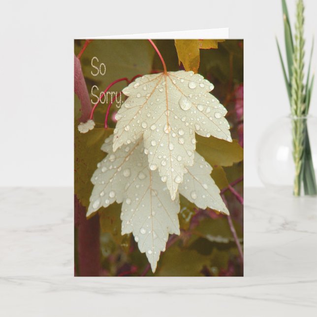 Pet Sympathy Card for Loss of Dog (Front)