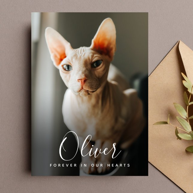 Pet Sympathy Card Memorial  (Pet Sympathy Photo Card)