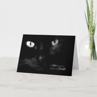 Pet Sympathy for Loss of a Cat - Black Cat Card