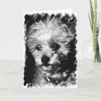 Pet Sympathy - Greeting Card