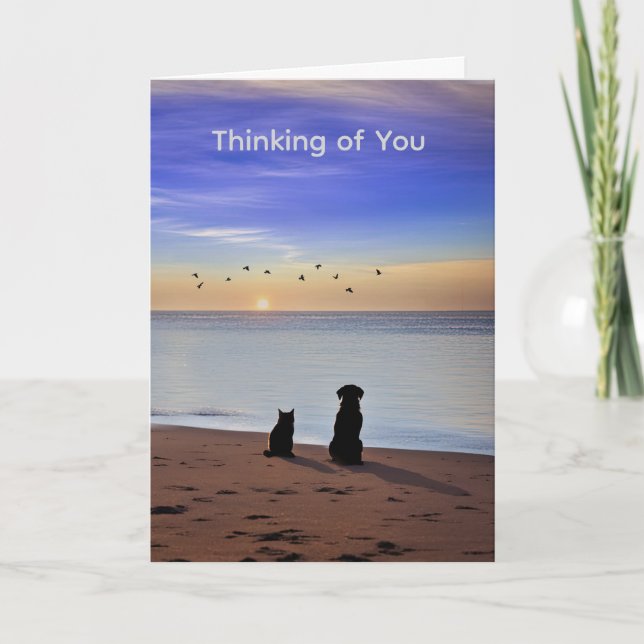 Pet Sympathy Loss of Cat or Dog Silhouetted Beach Card (Front)