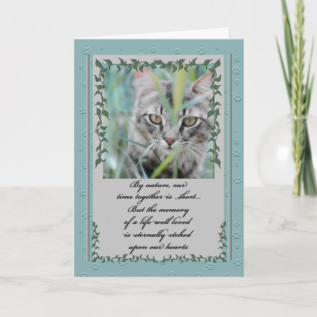 Pet Sympathy Loss of Cat | Tabby in the Grass Card (Front)