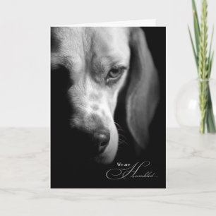 Pet Sympathy   Loss of Dog   Beagle Black Card