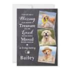 Pet Sympathy Personalized 3 Photo Dog Memorial