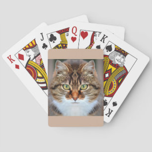 Pet Tabby Cat Playing Cards