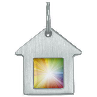 Pet Tag / Light of Jesus