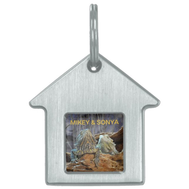 Pet Tag with two curious lizards (Front)