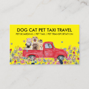 Pet Taxi Vet Visit Transport Business Card