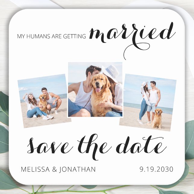Pet Wedding 3 Photo Collage Dog Save The Date Square Paper Coaster (Creator Uploaded)