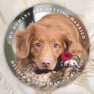 Pet Wedding Personalized Dog Photo Engagement  Classic Round Sticker