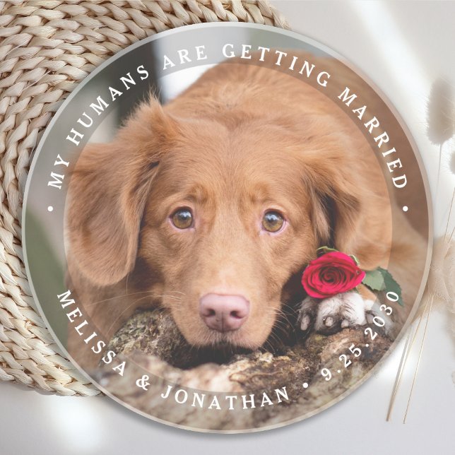 Pet Wedding Personalized Dog Photo Engagement Coaster (Creator Uploaded)