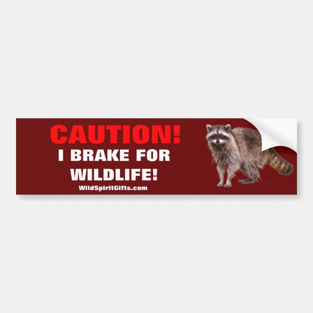 PET  & WILDLIFE PROTECTION Bumper Stickers (Front)