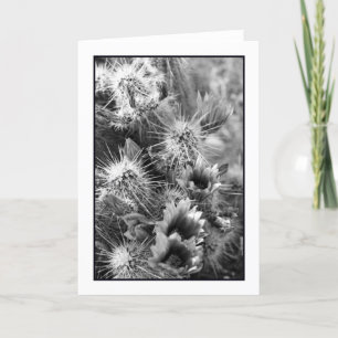 Petal Opposites Greeting Card