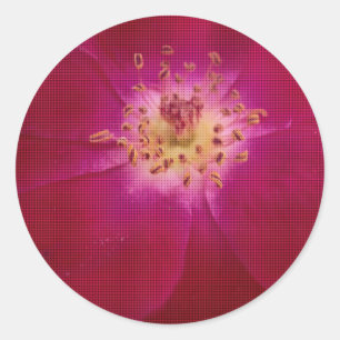 Petal Perfection: Chequered Rose Petal Pattern Art Classic Round Sticker