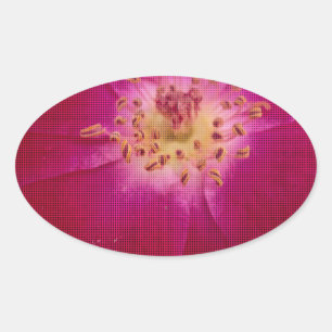 Petal Perfection: Chequered Rose Petal Pattern Art Oval Sticker
