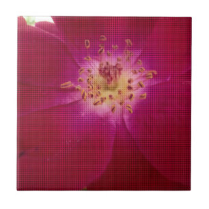 Petal Perfection: Chequered Rose Petal Pattern Art Tile