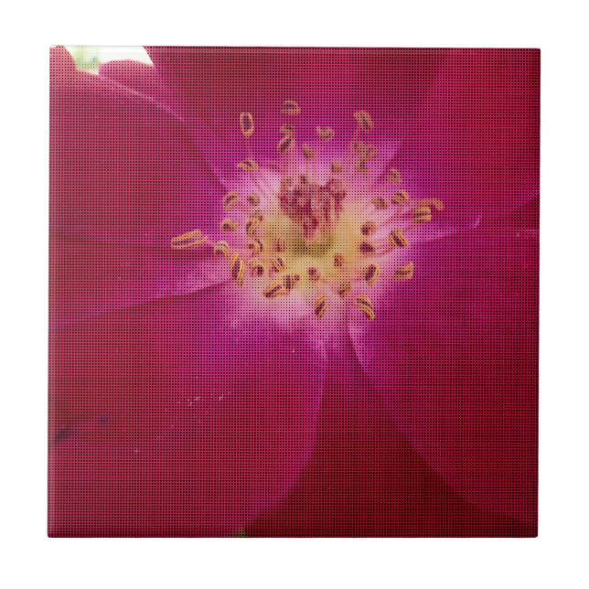 Petal Perfection: Chequered Rose Petal Pattern Art Tile (Front)