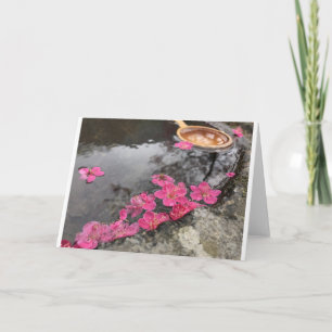 petal pink flowers water holiday card