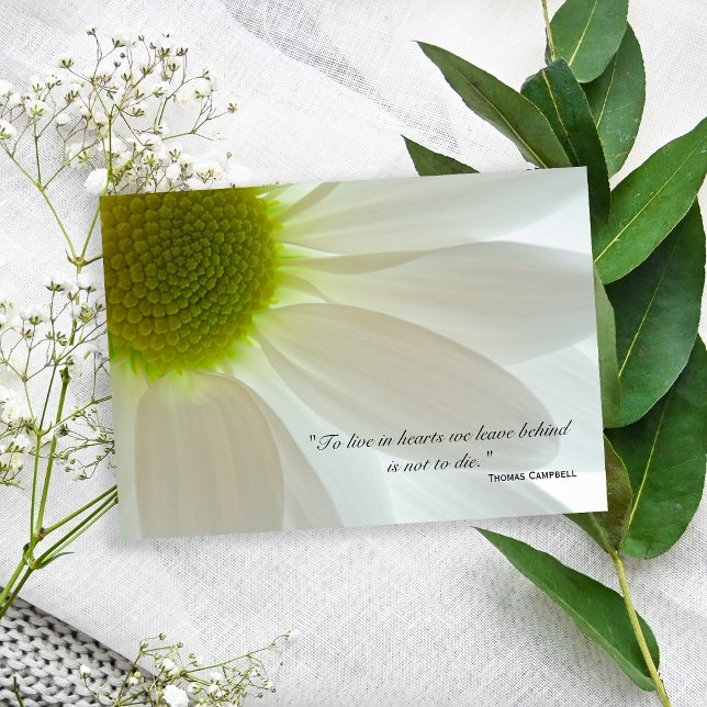Pétales de marguerite blanche Merci pour votre sym (Créateur téléchargé)