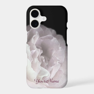 Pétales de rose rose pâle florales avec nom person