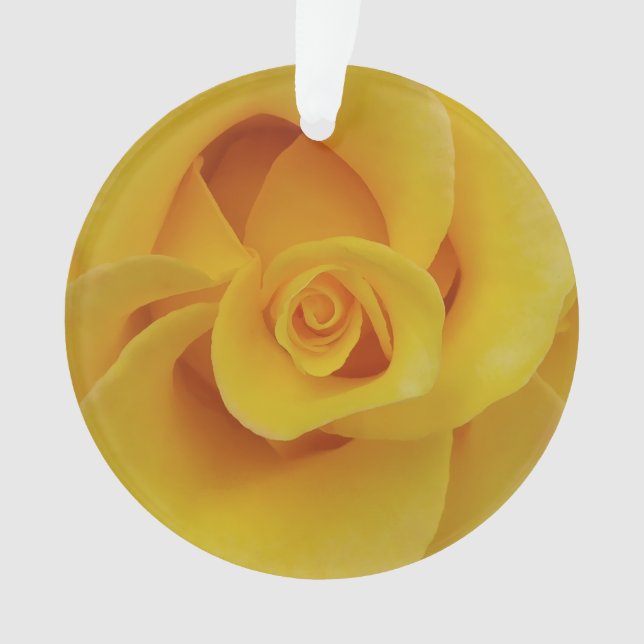 Pétales romantiques de rose jaune (devant)