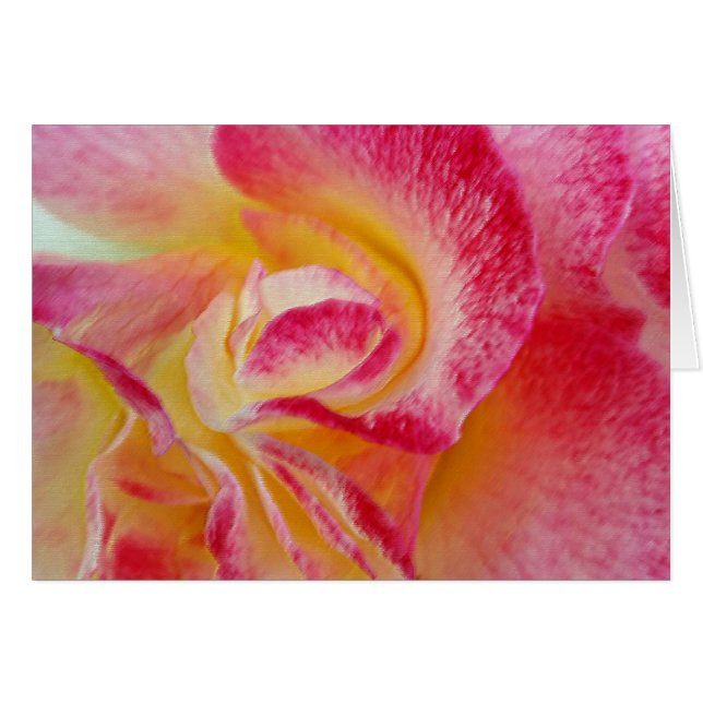 pétales rose jaune (Devant horizontal)