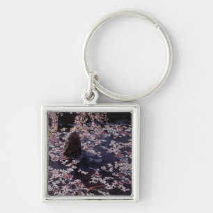 Petals floating on fish pond keychain