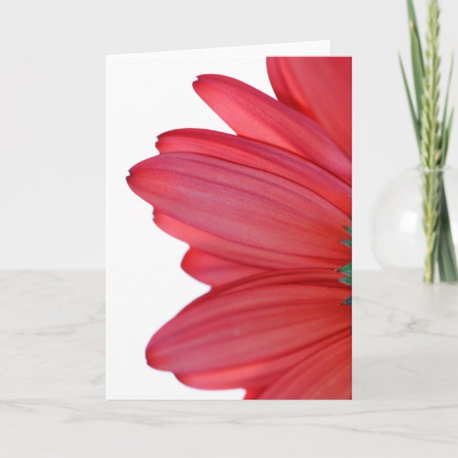 Petals from heaven card (Front)