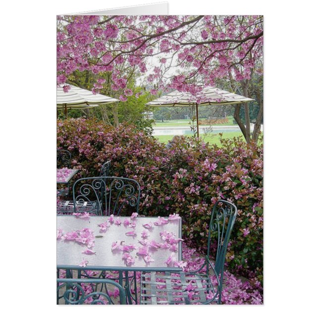 petals galore (Front)