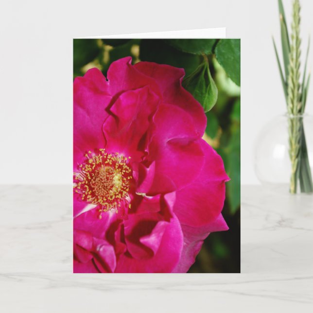 Petals of Summer Card (Front)