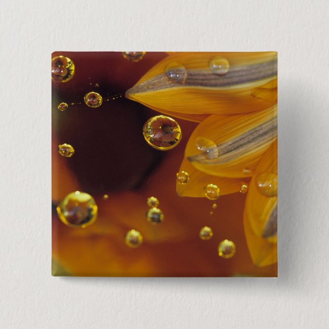 Petals on Mylar reflective surface with drops. 2 Inch Square Button (Front)