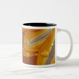 Petals on Mylar reflective surface with drops. Two-Tone Coffee Mug