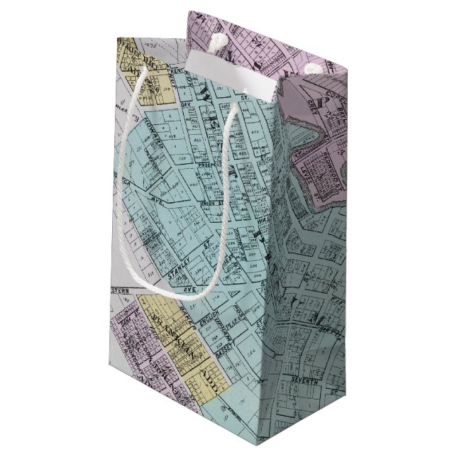 Petaluma, California 2 Small Gift Bag (Back Angled)