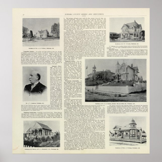 Petaluma Residences, California Poster (Front)