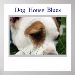 Pete Pit1 Poster