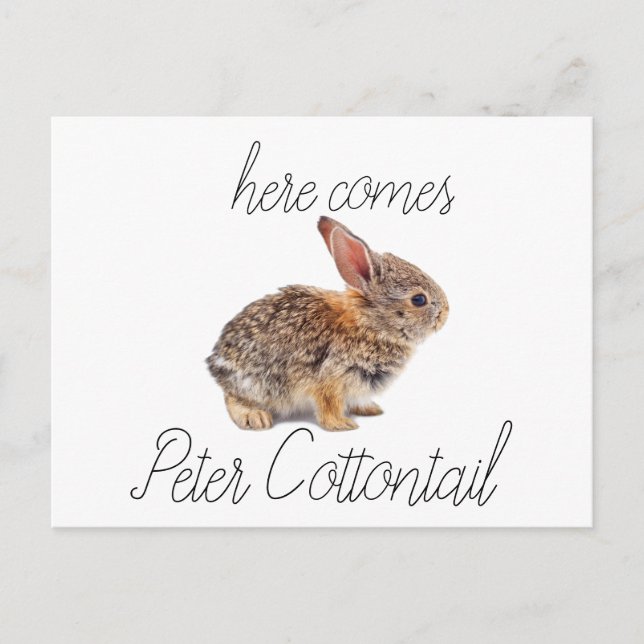 Peter Cottontail Bunny Rabbit Holiday Postcard (Front)