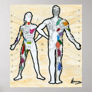 Peter Max style signed muscle chart drawing