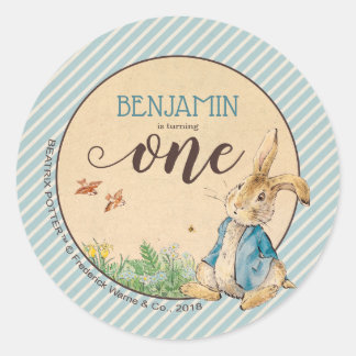 Peter Rabbit | Baby's First Birthday Classic Round Sticker