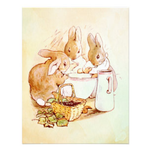 Peter Rabbit Beatrix Potter  Photo Print