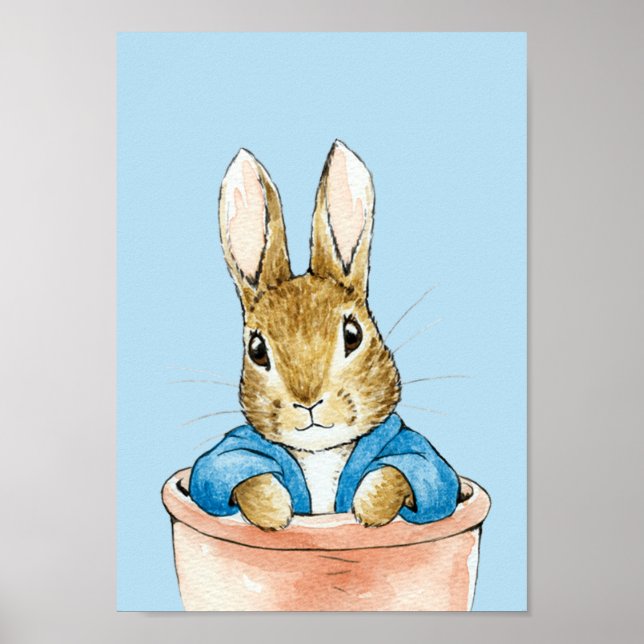 Peter Sitting in Plant Pot Poster (Front)