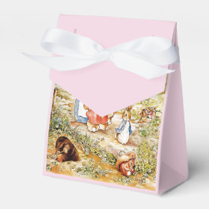 Peter the Rabbit Favor Box