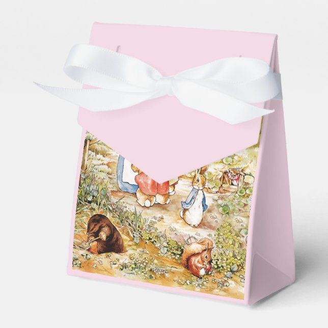 Peter the Rabbit  Favor Box (Front Side)