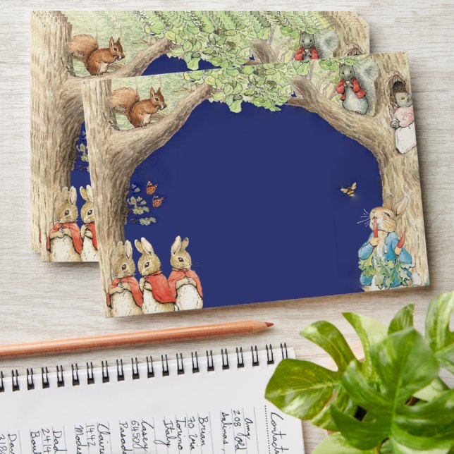 Peter the Rabbit Forest Friends Words of Wisdom Envelope (Stacked)
