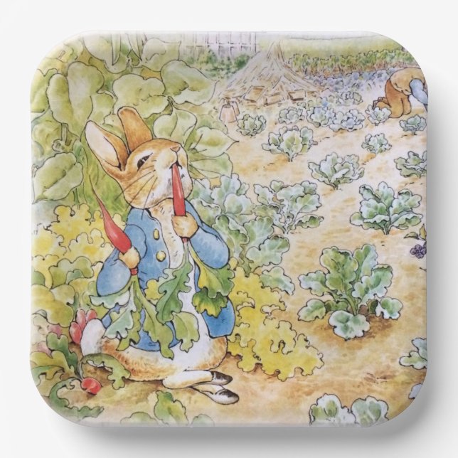 Peter the Rabbit  Paper Plate (Front)