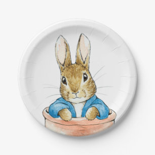 Peter the Rabbit Sitting in a Pot Paper Plate