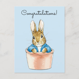 Peter the Rabbit Sitting in a Pot  Postcard