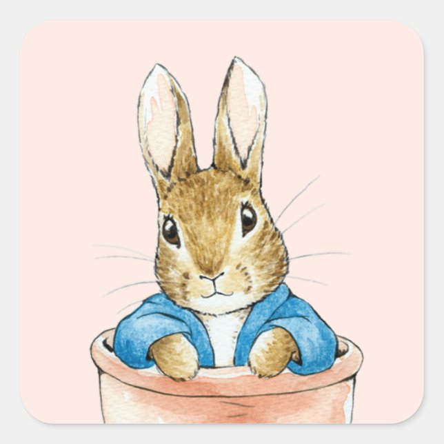 Peter the Rabbit Sitting in a Pot   Square Sticker (Front)