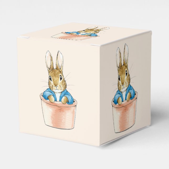 Peter the Rabbit Sitting in Plant Pot Favor Box (Front Side)